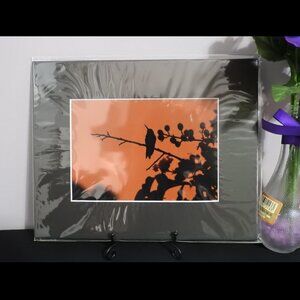 2/$13 Matted Photography Hummingbird Silhouette, 8x10